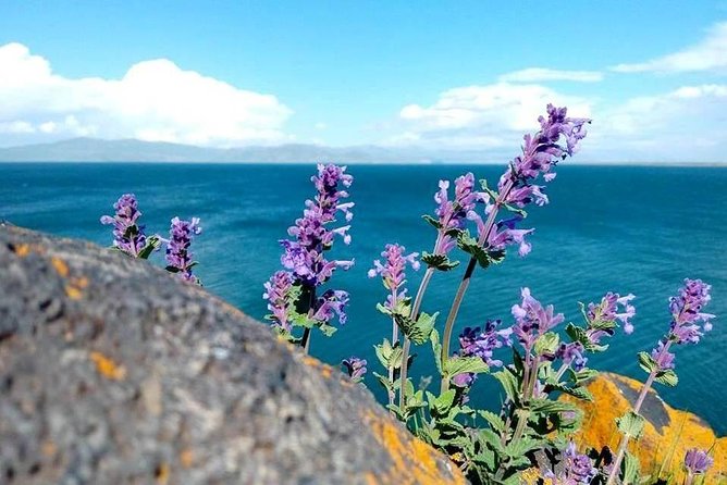 Garni, Geghard, Lake Sevan, Sevanavank Monastery - private tour from Yerevan - Vehicle Comfort and What That Means for Your Day