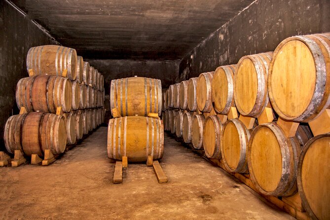 Group Tour: Hin Areni Winery, Tatev (wayback on Ropeway), Khndzoresk Caves - Wings of Tatev Ropeway: Gorge Views You Can’t Fake