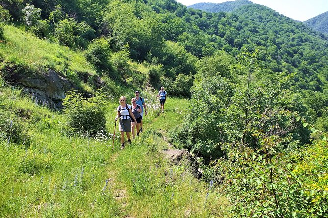 Lori Canyon Vacations - Day 2: Debed Valley hike, Horomayr monastery, and cave time