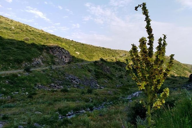 Mount Aragats, Amberd Fortress, Saghmosavank Monastery, Alphabet - private tour - Key highlights you will actually feel