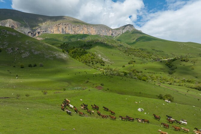 Off Road Tour to Dimats Mount Dilijan Armenia - Key things I’d pin to the top