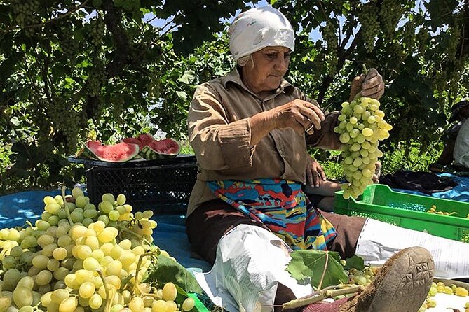 Private tour to Khor Virap, Ararat view - Private group comfort: why up to 3 people changes the vibe