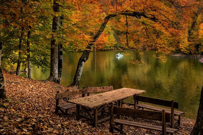 Private Tour to Sevan, Haghartsin, Lake Parz & Deer Farm - Lake Parz: a break with forests, cafes, and optional thrill rides