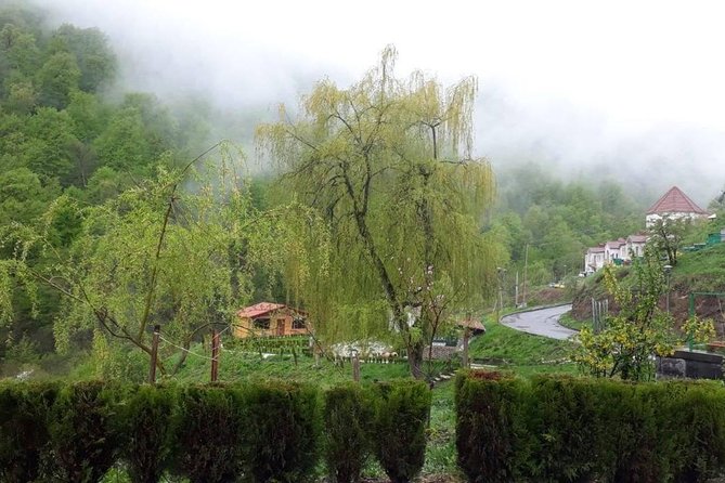 Private Tour: Tsaghkadzor, Sevan lake,Sevanavank, Dilijan, Haghartsin monastery - Haghartsin Monastery: stones, age, and a forested calm nearby