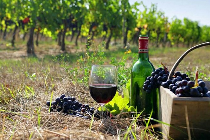 Private wine tour to Khor Virap, Areni winery, Noravank - Key things to look forward to