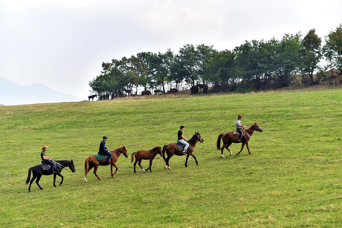 Scenic Trail Rides - Key highlights worth planning around