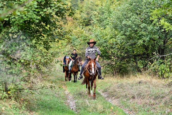 Scenic Trail Rides - St. Gregory Monastery access, and why the wooded walk option can be a highlight