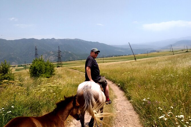 Scenic Trail Rides - Lunch in rural gardens, with local berry juice to power the second half