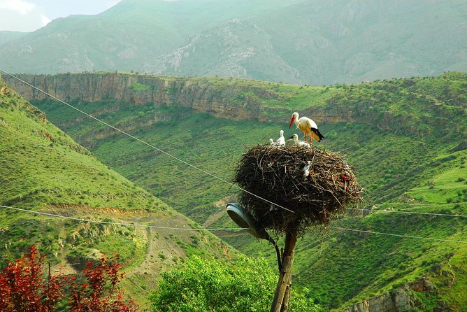 The Great Beauty of Armenia: 7-Day Culture and Cuisine Tour - Day 4: the swinging bridge to Wings of Tatev, plus Shaqi waterfall and Zorats Karer