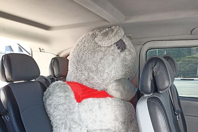 Transfer from Yerevan to Tbilisi - Drop-Off at Isani Mall: Your Exit Strategy