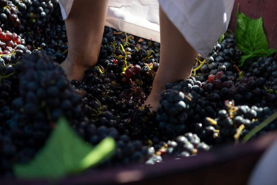 Yerevan: Khor Virap Day Trip with Mount Ararat Wine Tasting - Khor Virap and Mount Ararat views, in one compact day