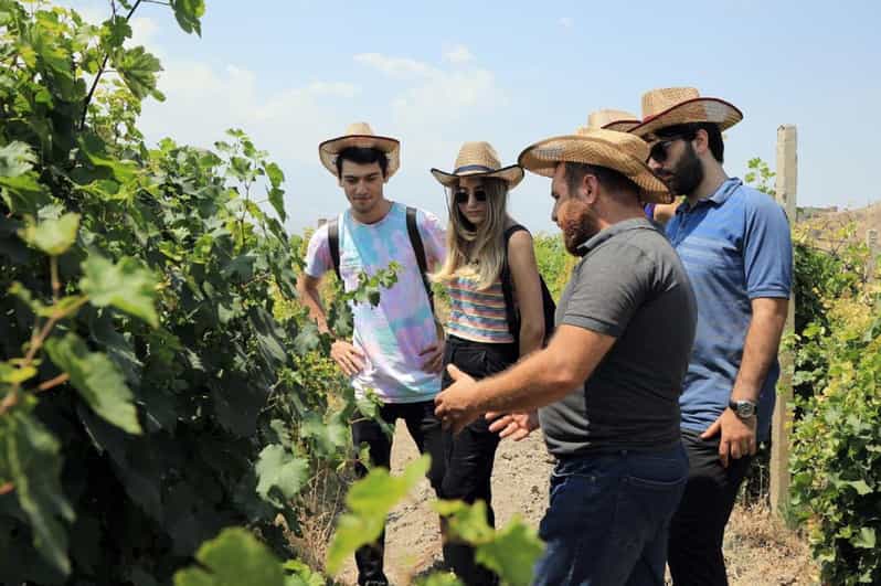 Yerevan: Khor Virap Day Trip with Mount Ararat Wine Tasting - How this 5-hour private format actually feels